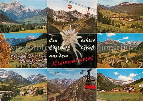 AK / Ansichtskarte Edelweiss Seilbahn Kleinwalsertal  Kat. Pflanzen