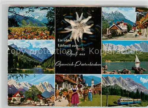 AK / Ansichtskarte Edelweiss Garmisch Partenkirchen  Kat. Pflanzen