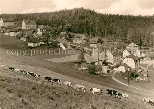 AK / Ansichtskarte Baerenstein Altenberg Kuehberg