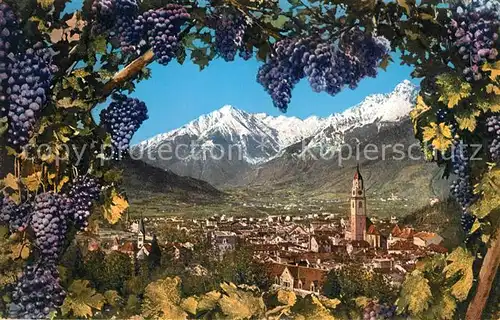 AK / Ansichtskarte Meran Merano Panorama