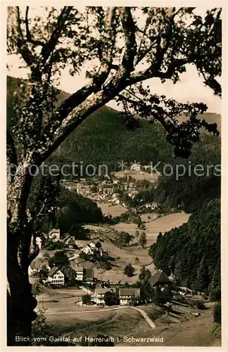 AK / Ansichtskarte Herrenalb Loeffenau Schwarzwald Blick vom Gaistal Kat. March