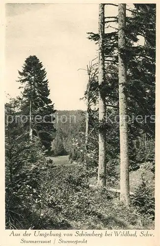 AK / Ansichtskarte Schoemberg Schwarzwald Panorama Kat. Schoemberg