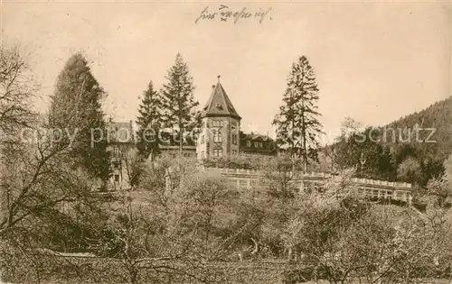 AK / Ansichtskarte Neckargemuend Kuemmelbacher Hof Kat. Neckargemuend