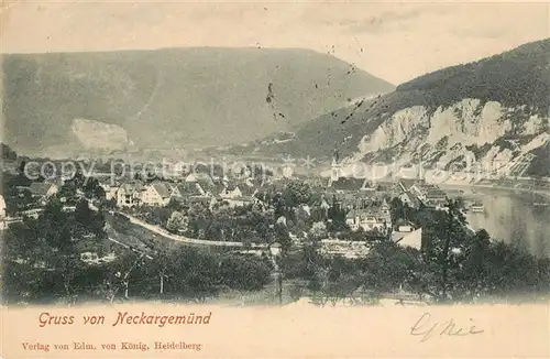 AK / Ansichtskarte Neckargemuend Panorama Kat. Neckargemuend