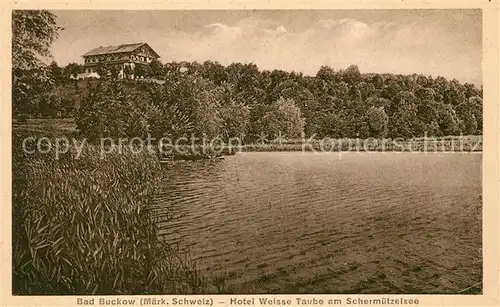 AK / Ansichtskarte Bad Buckow Maerkische Schweiz Hotel Weisse Taube Schermuetzelsee Kat. Buckow Maerkische Schweiz