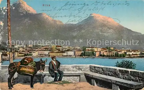AK / Ansichtskarte Riva del Garda Panorama Esel  Kat. 