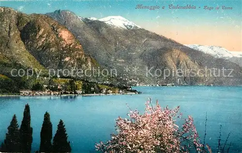 AK / Ansichtskarte Menaggio Lago di Como Cadenabbia Kat. 