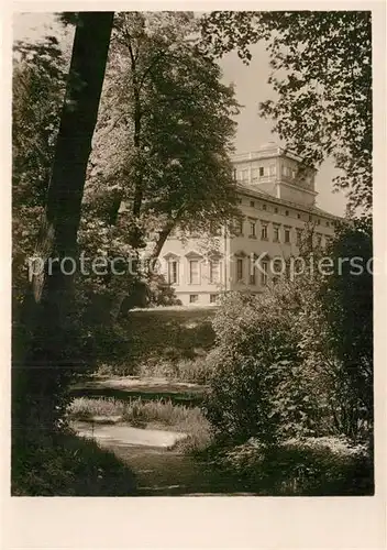 AK / Ansichtskarte Woerlitz Woerlitzer Park Blick auf das Schloss Kat. Woerlitz