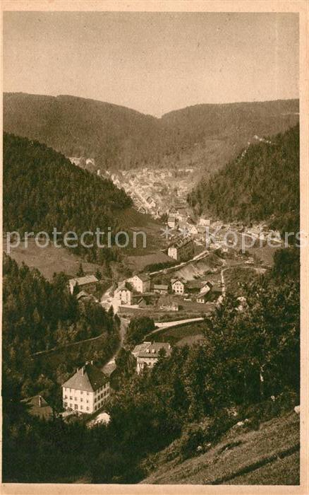 AK / Ansichtskarte Triberg Schwarzwald Panorama Kurort im Schwarzwald