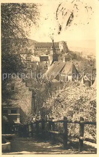 AK / Ansichtskarte Tuebingen Blick zur Kirche Baumbluete Kat. Tuebingen