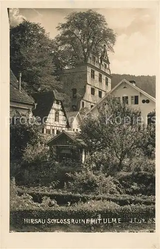 AK / Ansichtskarte Hirsau Schlossruine mit Ulme Kat. Calw