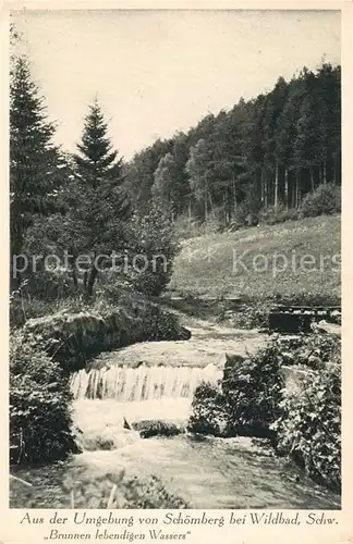 AK / Ansichtskarte Schoemberg Schwarzwald Brunnen lebendigen Wassers Kat. Schoemberg