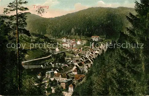 AK / Ansichtskarte Triberg Schwarzwald Panorama Kat. Triberg im Schwarzwald