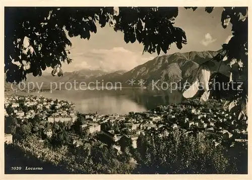 AK / Ansichtskarte Locarno Lago Maggiore Panorama