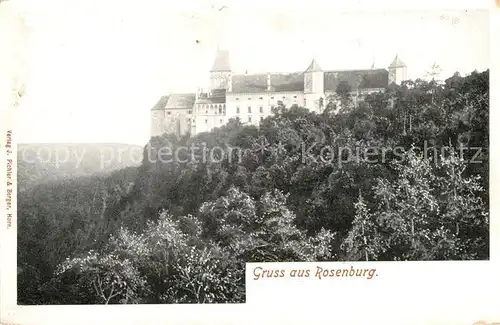 AK / Ansichtskarte Krems Donau Rosenburg Kat. Krems an der Donau