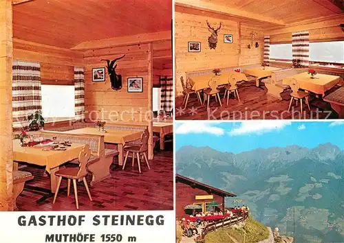 AK / Ansichtskarte Dorf Tirol Gasthof Steinegg Kat. Tirolo