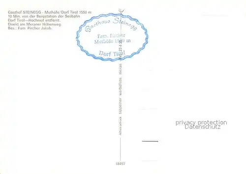 AK / Ansichtskarte Dorf Tirol Gasthof Steinegg Kat. Tirolo