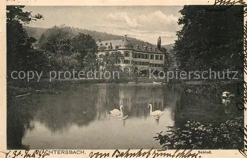 AK / Ansichtskarte Waechtersbach Schloss Schwanenteich Kat. Waechtersbach