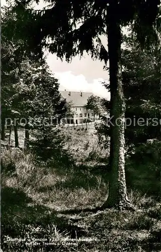 AK / Ansichtskarte Tromm Odenwald Gasthaus Pension Zur schoenen Aussicht auf der Tromm Waldpartie Kat. Grasellenbach