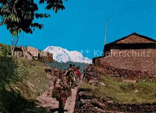 AK / Ansichtskarte Nepal Highland mule track in the background of the Annapurna Range Kat. Nepal