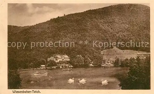 AK / Ansichtskarte Bad Lauterberg Wiesenbeker Teich Schwaene Kat. Bad Lauterberg im Harz