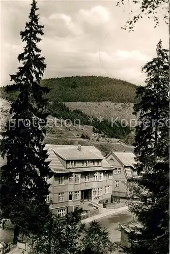 AK / Ansichtskarte Wildemann Pension Haus Sonneck Kat. Wildemann Harz