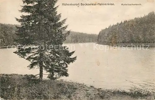 AK / Ansichtskarte Bockswiese Hahnenklee Harz Kuttelbacherteich Kat. Goslar