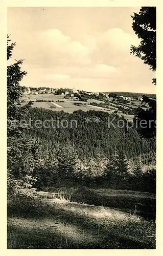 AK / Ansichtskarte Hohegeiss Harz Panorama Blick vom Wolfsberg Kat. Braunlage