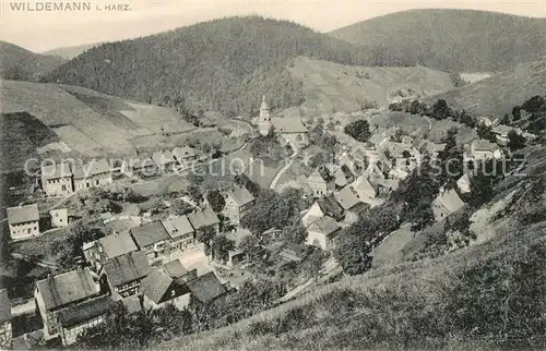 AK / Ansichtskarte Wildemann Panorama Kat. Wildemann Harz