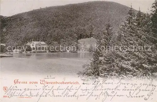 AK / Ansichtskarte Bad Lauterberg Wiesenbeker Teich Kat. Bad Lauterberg im Harz