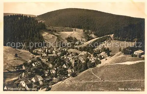 AK / Ansichtskarte Wildemann Panorama Blick vom Hohenberg Kat. Wildemann Harz