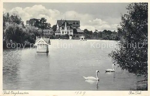 AK / Ansichtskarte Bad Oeynhausen Am Siel Schwaene Kat. Bad Oeynhausen