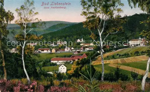 AK / Ansichtskarte Bad Liebenstein Blick vom Aschenberg Kat. Bad Liebenstein