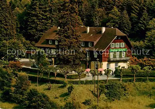 AK / Ansichtskarte Baden Baden Waldhotel Fischkultur Kat. Baden Baden