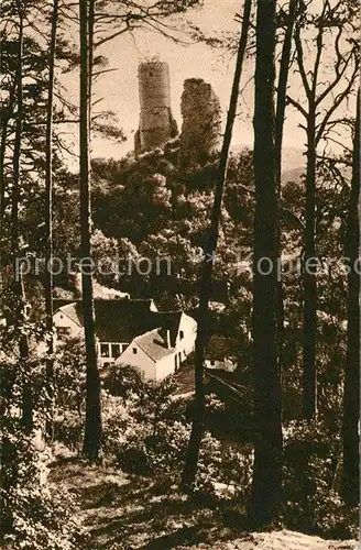 AK / Ansichtskarte Kirkel Neuhaeusel Burgruine Kirkel Waldpartie Kat. Kirkel