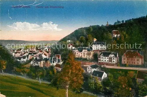 AK / Ansichtskarte Saarbruecken Partie am Winterberg Kat. Saarbruecken