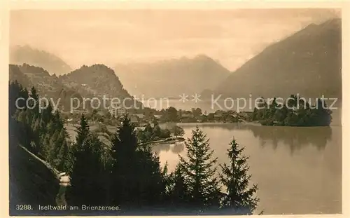 AK / Ansichtskarte Iseltwald Brienzersee Kat. Iseltwald