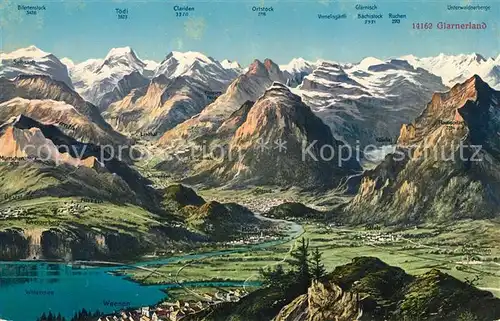 AK / Ansichtskarte Weesen Walensee Panorama Glarnerland Alpen