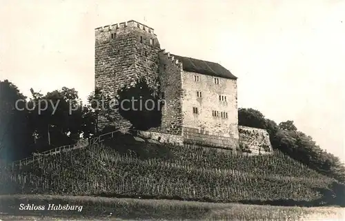 AK / Ansichtskarte Habsburg Die Habsburg Schloss Habsburg Kat. Habsburg