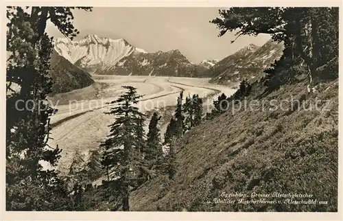 AK / Ansichtskarte Eggishorn Gebirgspanorama Grosser Aletschgletscher Walliser Fiescherhoerner Aletschwald Kat. Eggishorn