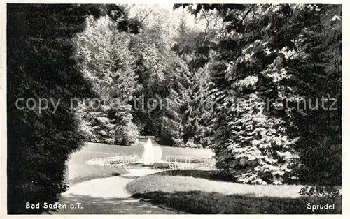 AK / Ansichtskarte Bad Soden Taunus Sprudel Kurpark Kat. Bad Soden am Taunus