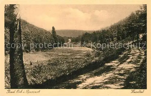 AK / Ansichtskarte Bad Orb Panorama Haseltal Kat. Bad Orb