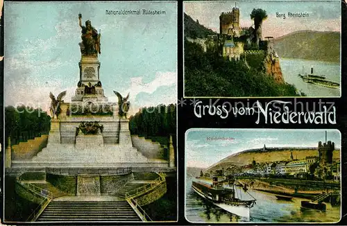 AK / Ansichtskarte Ruedesheim Rhein Nationaldenkmal Niederwald Burg Rheinstein Rhein Dampfer Kat. Ruedesheim am Rhein