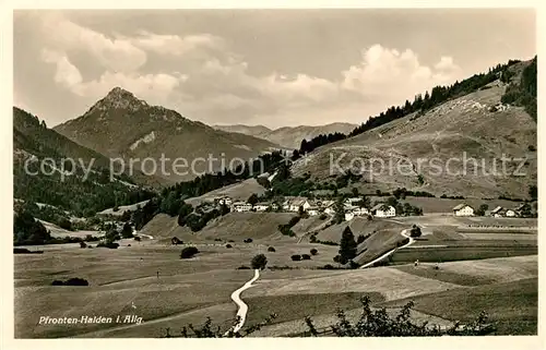 AK / Ansichtskarte Halden Pfronten Panorama mit Sorgschrofen Allgaeuer Alpen Kat. Pfronten