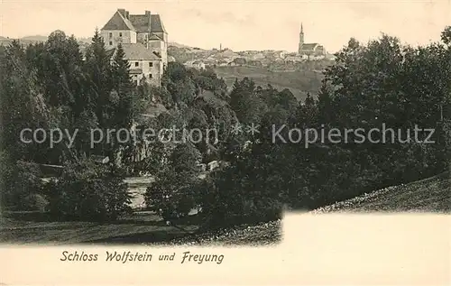 AK / Ansichtskarte Freyung Schloss Wolfstein Kat. Freyung