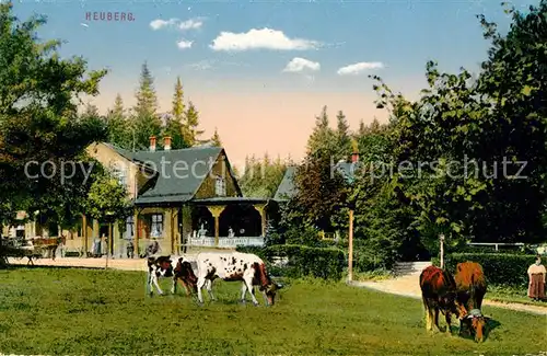 AK / Ansichtskarte Waltersau Arnbruck Heuberg Gaststaette Kuehe Kat. Arnbruck