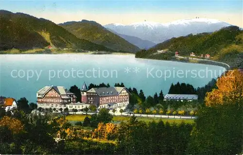 AK / Ansichtskarte Titisee Hotel am See Blick zum Feldberg Schwarzwald Kat. Titisee Neustadt