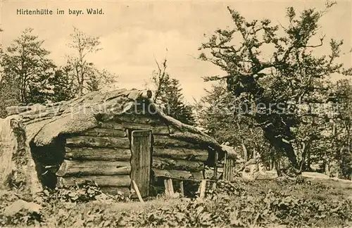 AK / Ansichtskarte Zwiesel Niederbayern Hirtenhuette im bayerischen Wald Kat. Zwiesel