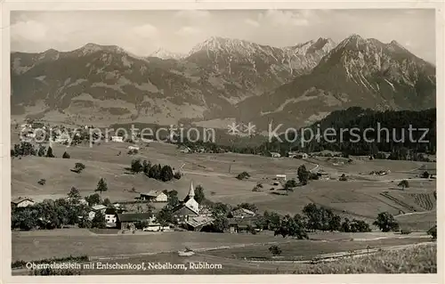 AK / Ansichtskarte Obermeiselstein Oberstdorf Panorama mit Entschenkopf Nebelhorn Rubihorn Allgaeuer Alpen Kat. Oberstdorf
