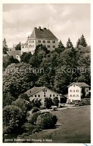 AK / Ansichtskarte Freyung Schloss Wolfstein Kat. Freyung